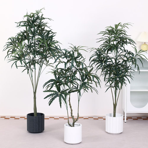 仿真孔雀木北欧风盆栽客厅假植物落地摆件绿植千年木高仿真