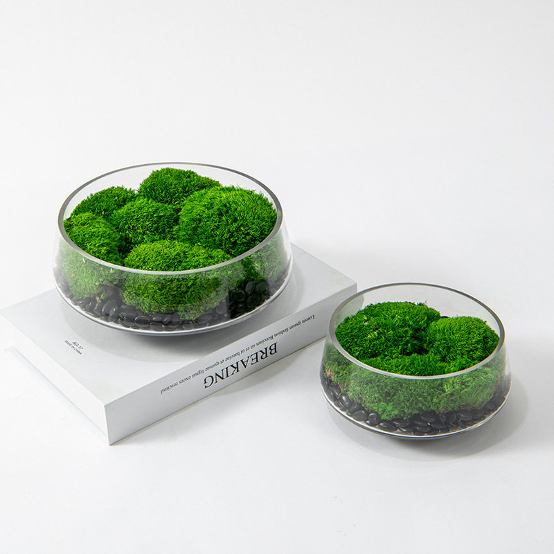 仿真花盆景永生苔藓花艺绿植酒店大堂新中式会议桌盆栽洽谈桌摆件