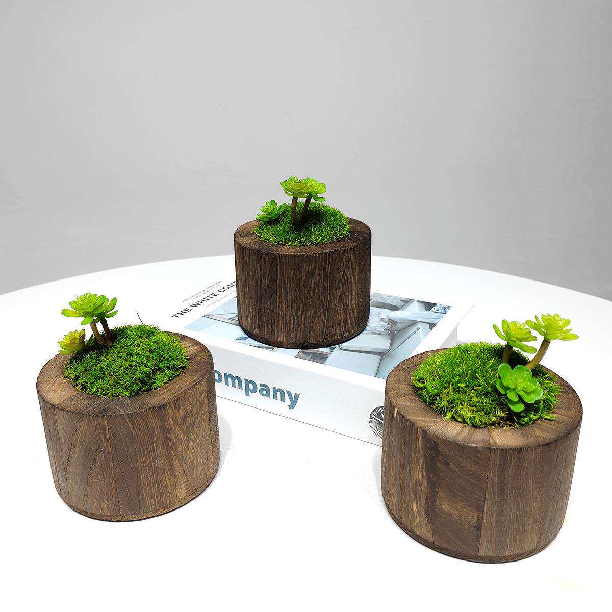 新中式实木花器永生苔藓绿植小盆景室内客厅床头柜洽谈桌软装饰品