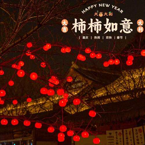 led过年彩灯太阳能柿子灯串防水户外庭院装饰灯挂树上喜庆氛围灯