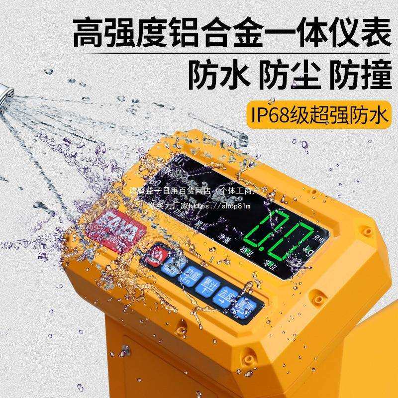 飞亚电子秤搬运车叉车秤带电子称手动液压叉车称重带打印领车