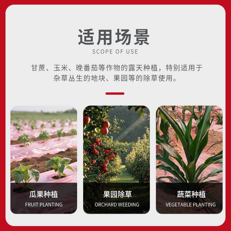 除草膜蔬菜水果种植膜生产塑料布薄膜厂家直供