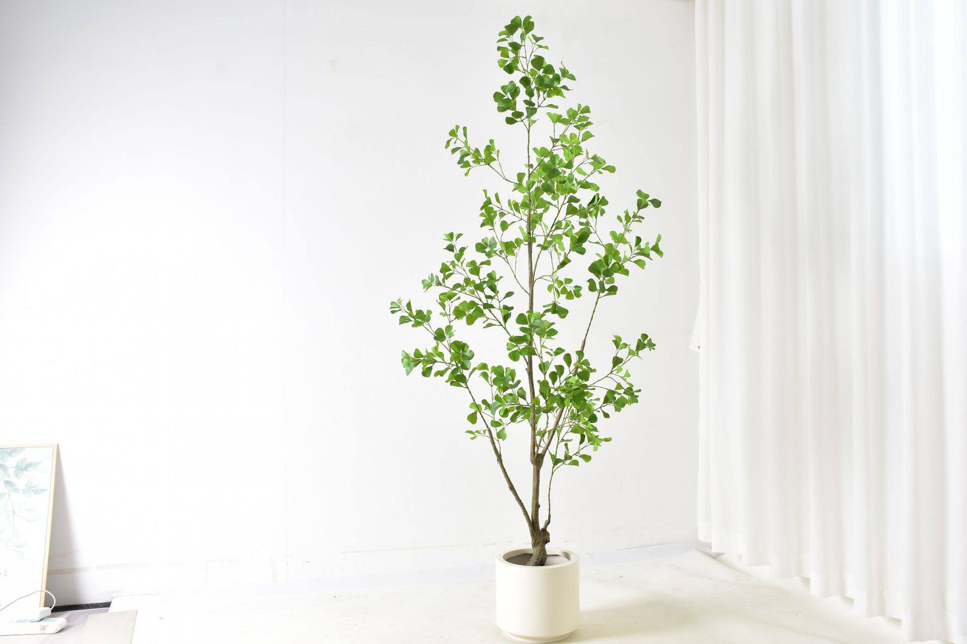 仿真心形榕树植物北欧大型橱窗造景盆栽摆件室内客厅装饰网红绿植