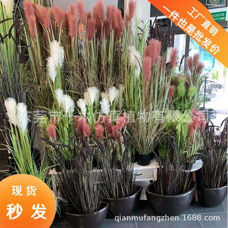 仿真单支芦苇草绿色植物盆栽森系婚礼家居落地摆设假花狗尾草厂家