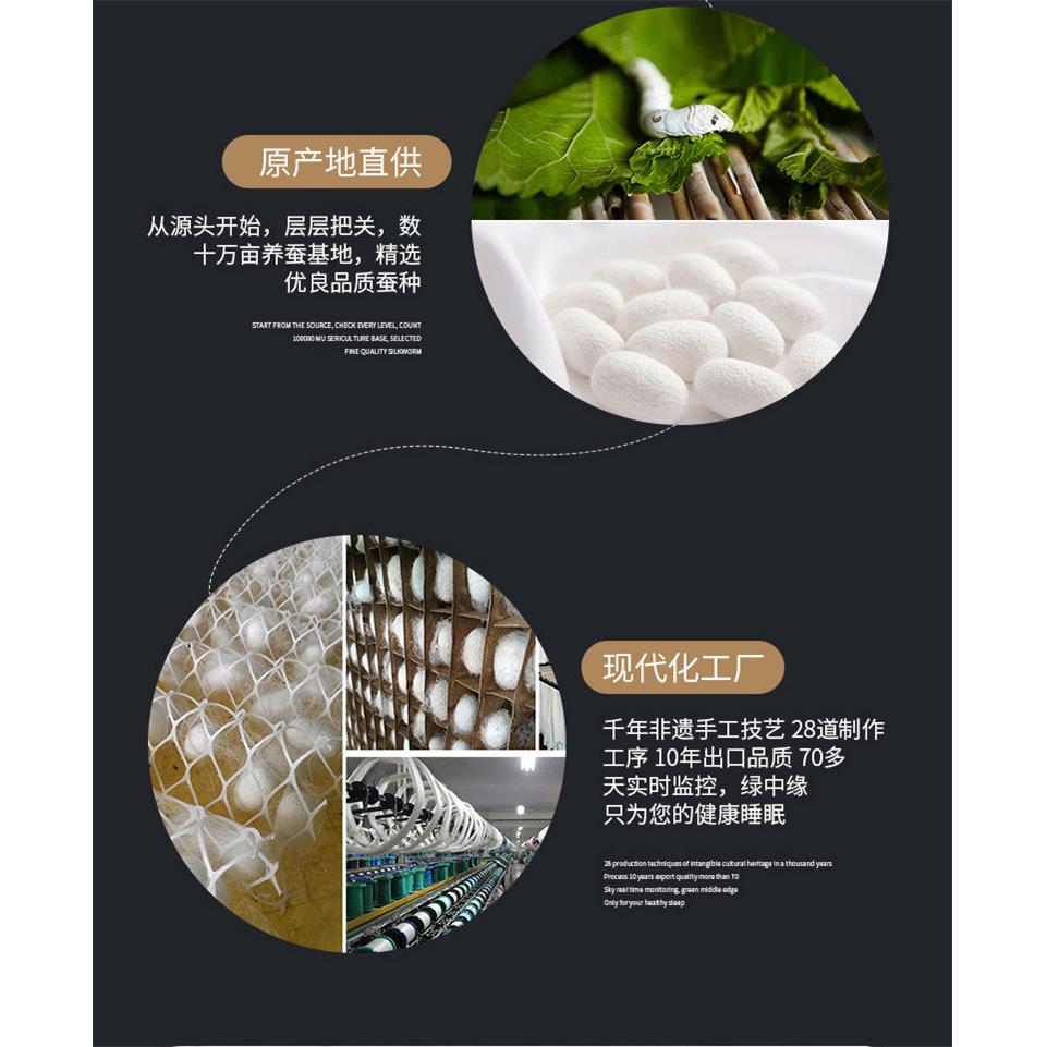 丝被桑蚕丝春秋被全棉加厚10斤冬被手工夏凉被子母被