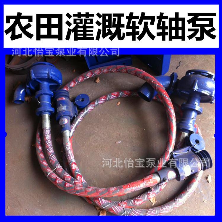 农田灌溉柴油机软轴泵,电动、柴油机两用软轴泵,3寸软轴泵不锈钢