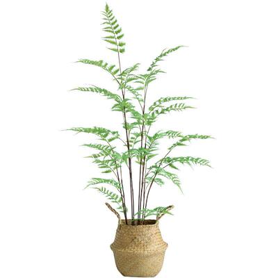泰环 桫椤树仿真植物盆栽 森系大型蕨类绿植北欧室内落地装饰摆件