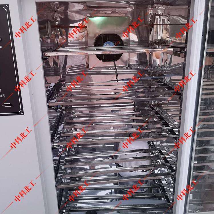 建筑涂料养护箱保温材料养护箱防水卷材涂料试验箱恒温恒湿箱