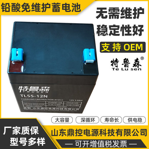 特鲁森TLS100-12JN阀控式铅酸胶体蓄电池12V100AH变电站地磅电源