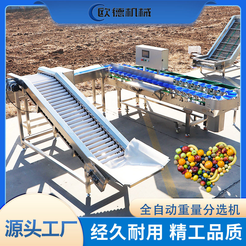 鸡爪分拣小龙虾海参自动分级机 生蚝重量分选机料盒工作快误差小