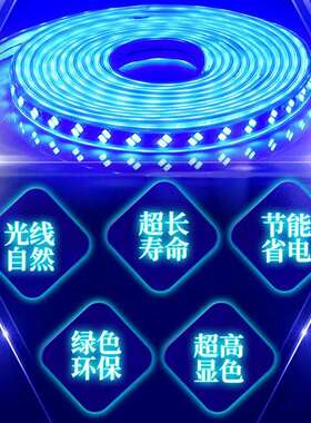 220V蓝色灯条超亮天花吊顶KTV招牌灯箱装饰长条灯蓝光LED灯带