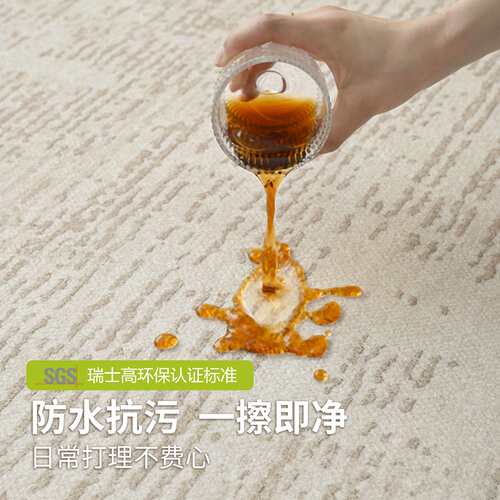 纯色地毯客厅新款卧室防水耐脏免打理地垫免洗条纹沙发茶几地毯