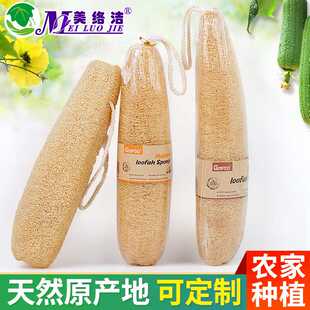 农家丝瓜络洗碗巾丝瓜瓤整根厨房清洁刷碗刷锅不沾油百洁布抹布