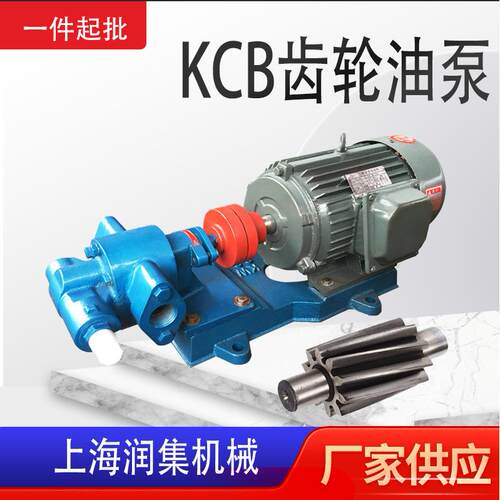 KCB齿轮油泵2CY铸铁不锈钢防爆铜齿轮泵卧式电动无泄露转子泵