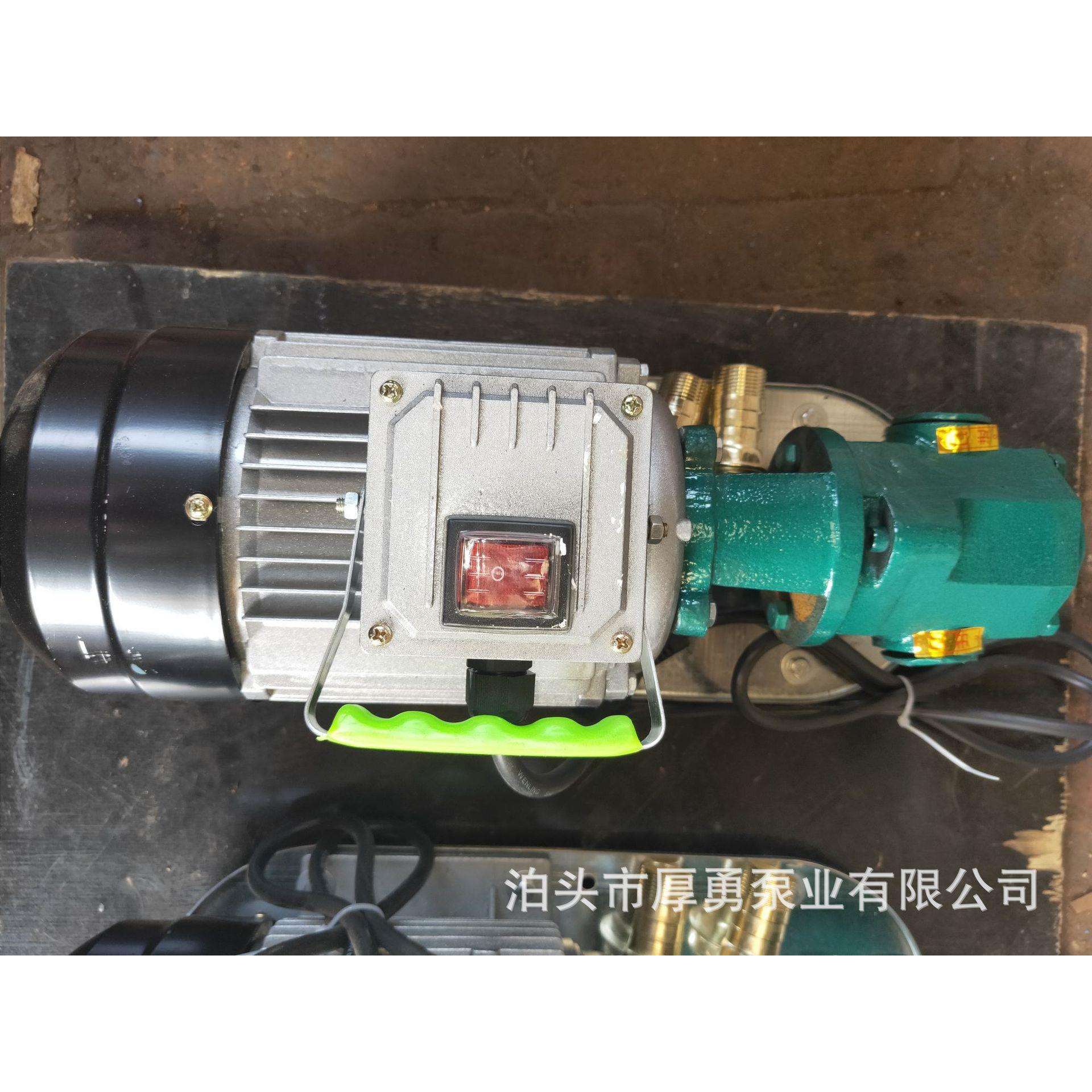 厚勇泵业 WCB-50手提式小型齿轮油泵 WCB单相防爆齿轮泵