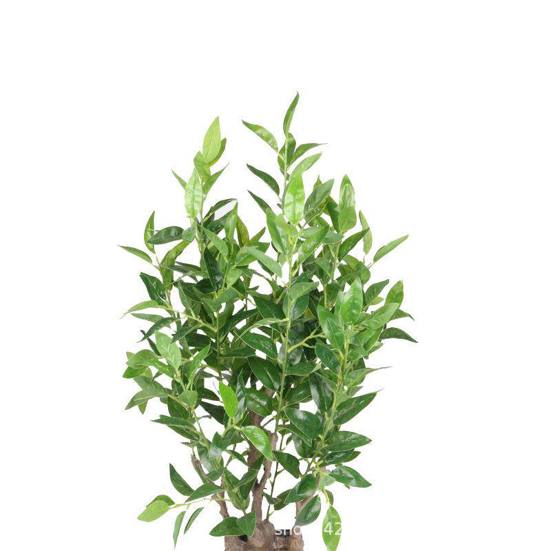 新品特卖仿真植物迷你盆栽橄榄叶绿植栎盆景装饰樟树叶厂家
