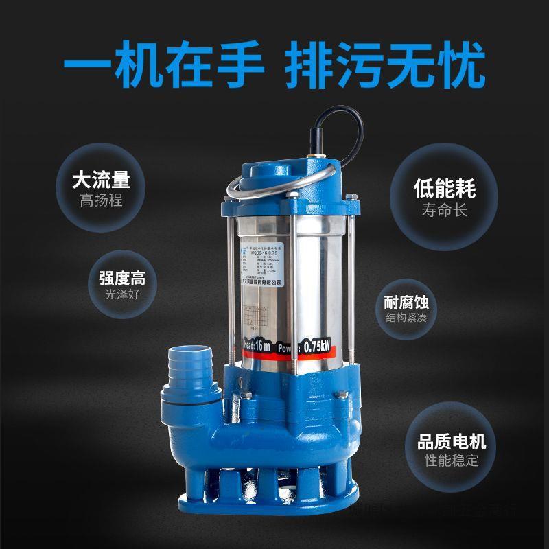 大元不锈钢机身污水家用化粪池沼气池无堵塞全自动220V380V泥沙泵