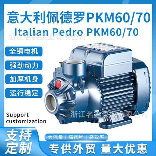 PKM60漩涡式自来水增压泵意大利款220v110v机床高压离心 循环油泵