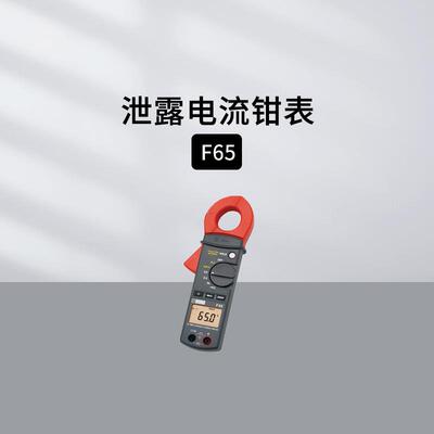 法国CA 泄露电流钳表F65 万用钳表AEMC503 高精度电流钩表CM605