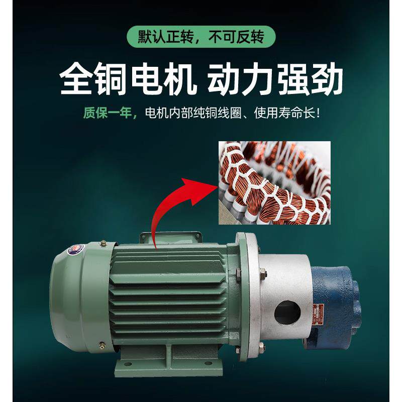 高压电动齿轮油泵CB-B2.5/B4/B10/B125 自吸式抽油泵增压泵齿轮泵