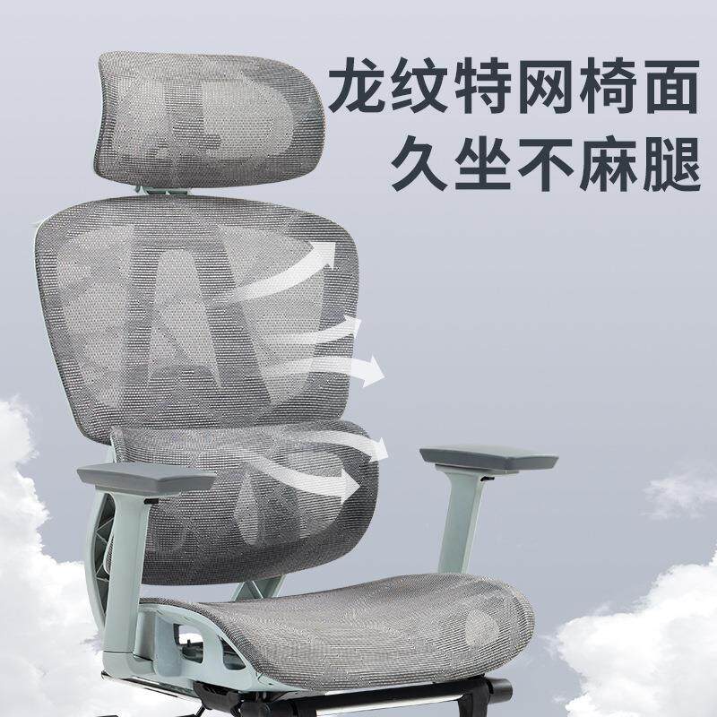 泰畅人体工学椅升降双背电脑椅家用办公座椅电竞椅久坐学习转椅子