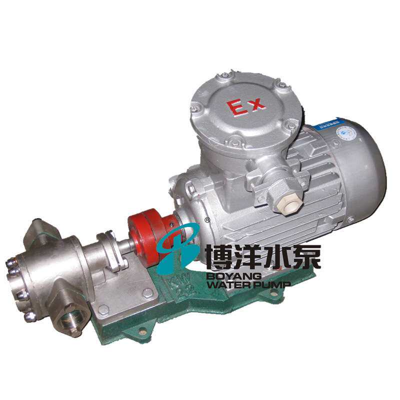上海产2CY型齿轮油泵,铸铁齿轮油泵,KCB油泵,2CY齿轮泵,齿轮油泵