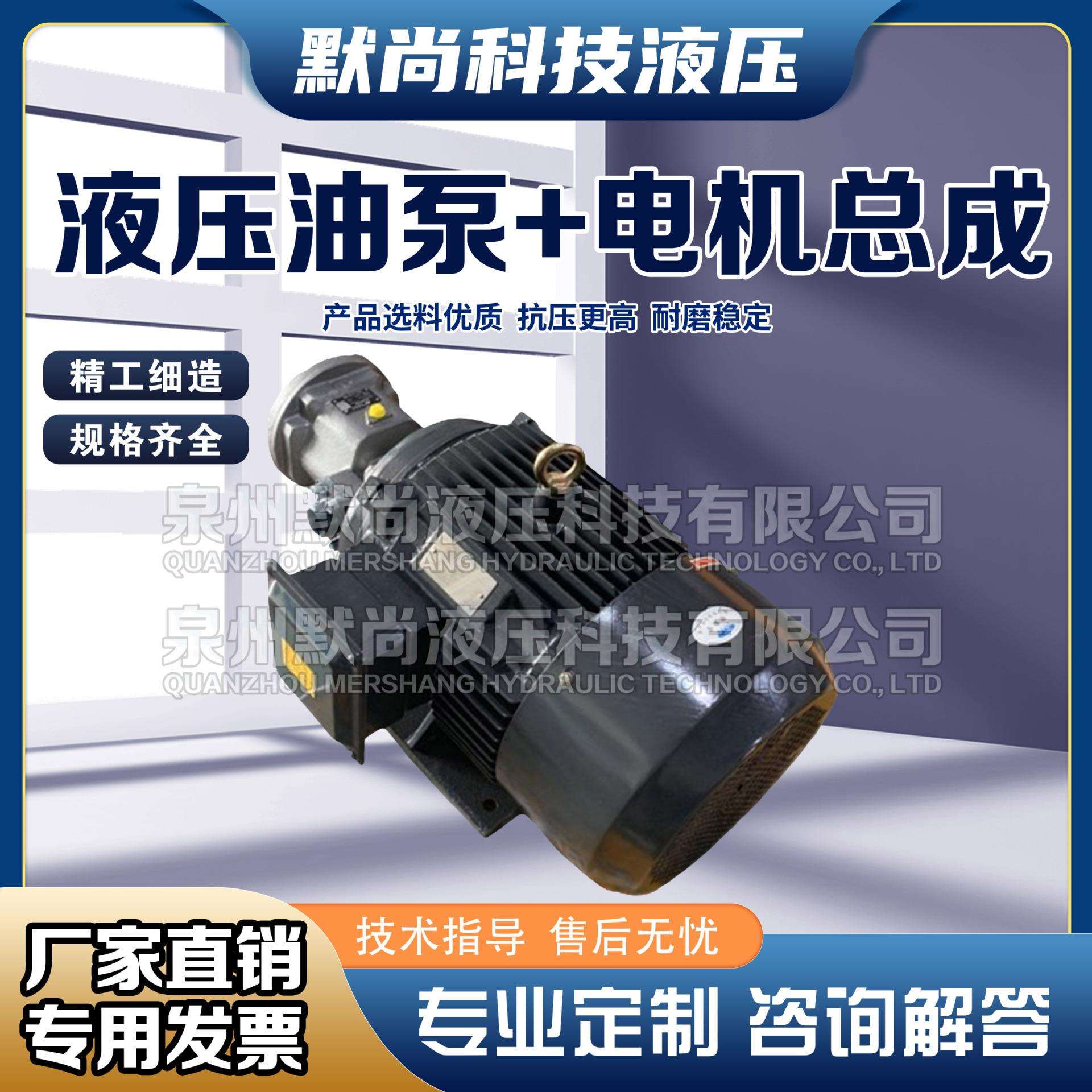 液压柱塞油泵电机组HY10+5.5KW液压泵总成内轴电机液压站配件系统