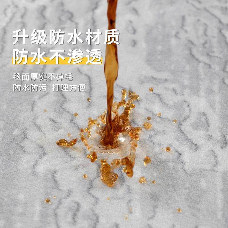 防水地毯卧室客厅2024新款大面积全铺免洗可擦免打理地垫轻奢高级