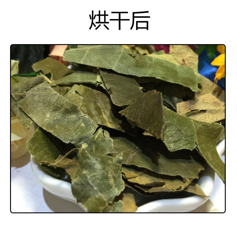 枇杷叶烘干机 空气能琵琶叶卢橘叶烘干设备 巴叶芦桔叶脱水烘干房