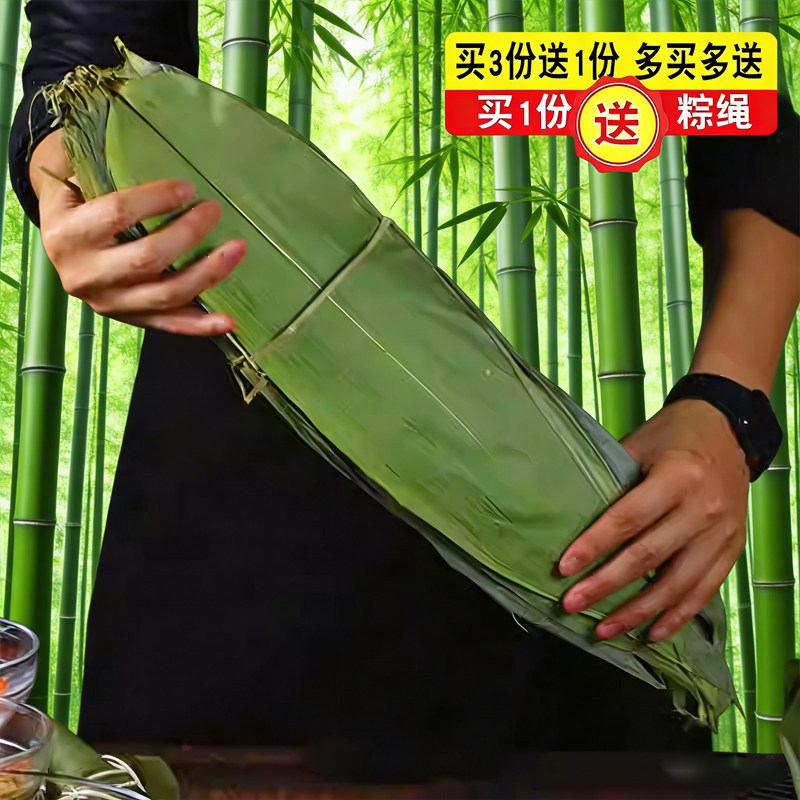 包粽子的叶子棕叶大粽子叶农家种叶新鲜大片大号中号竹叶送棕线家