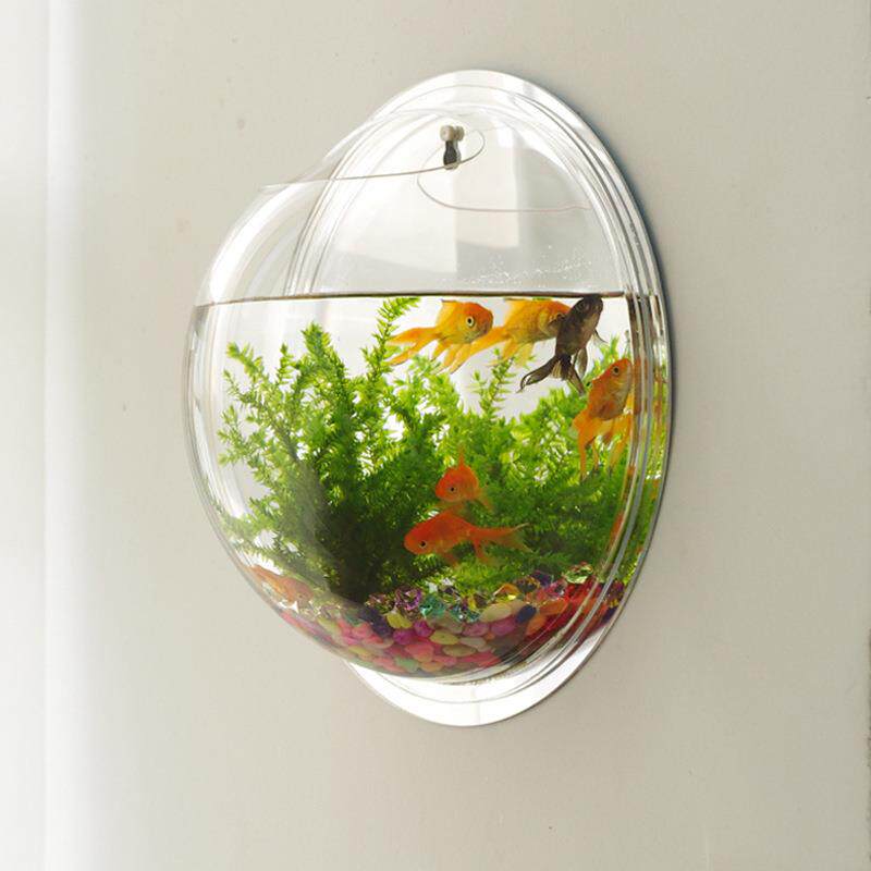 挂墙花盆水培壁挂式鱼缸创意墙上模型制作工具/辅料耗