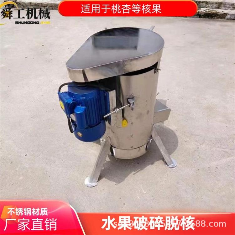 不锈钢水果脱籽机 大型立式去胡打浆设备 桃子橄榄葡萄去核机