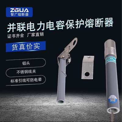BR2 BR8W BRN-10-12KV高压电容器保护熔断器熔保险丝厂直供其他