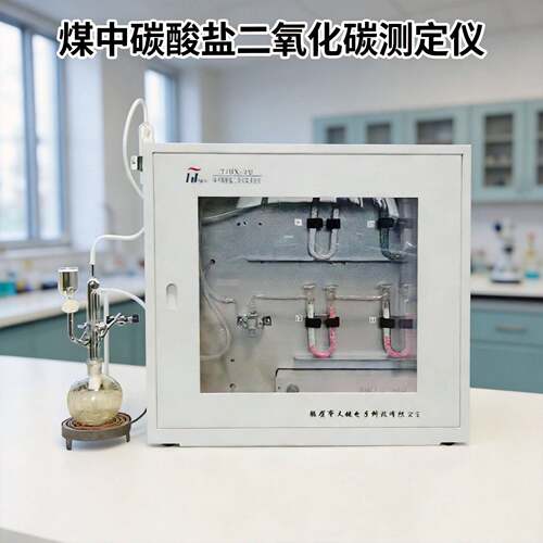TJHX-2碳酸盐二氧化碳反应性装置煤炭CO2测定仪天键厂家质保一年
