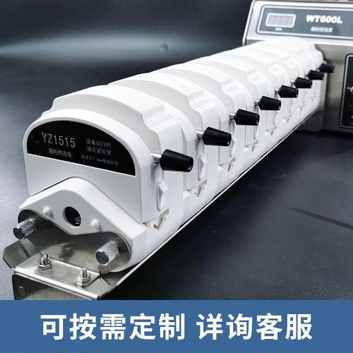 蠕动泵泵头YZ15 YZ25 KZ25 YZ35 DMD15 BZ15 BZ25 DG多通道系列