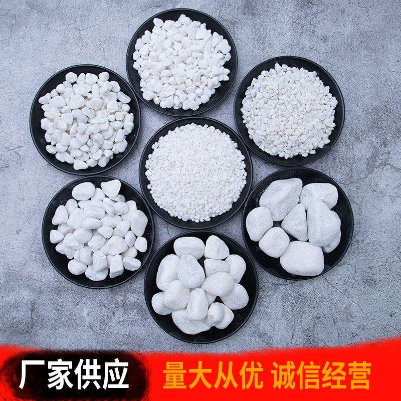 白色石子鹅卵石园林景观石头 庭院造景铺路石子白色石头