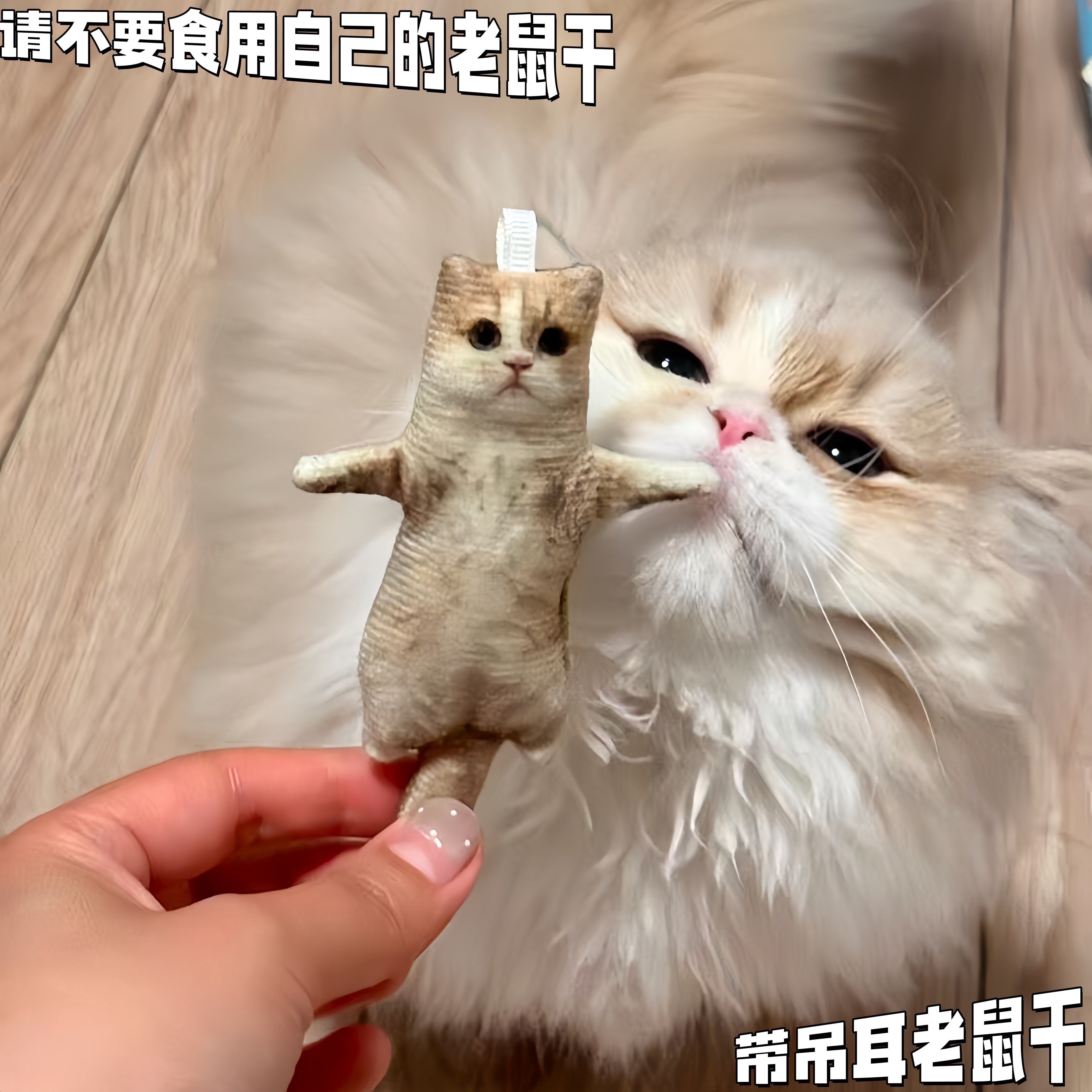 请不要吃食用自己的老鼠干...图片