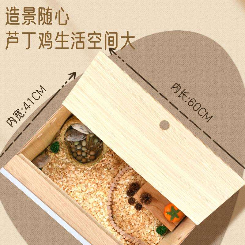 芦丁鸡饲养箱全套专用宠物笼子育雏室内保温箱恒温仓鼠窝造景用品