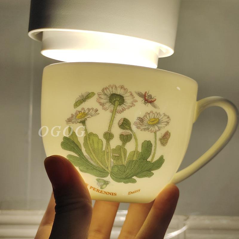 跨境直销英式咖啡杯碟波特家植物园系列骨瓷杯碟情侣对杯简约精致