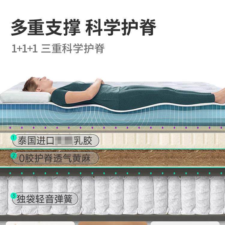 晨运乳胶床垫硬黄麻弹簧名牌席梦思十大乳胶垫学生垫