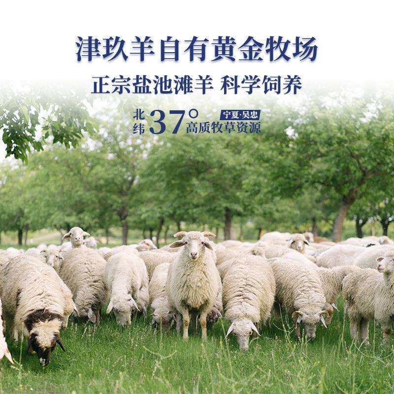 宁夏盐池滩羊二毛羔羊白条羊羊胴体全羊整只小羔羊烤全羊烧烤食材