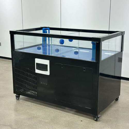 海鲜缸 梯形海鲜池贝类池大型超市养殖设备贝克池 商用海鲜池