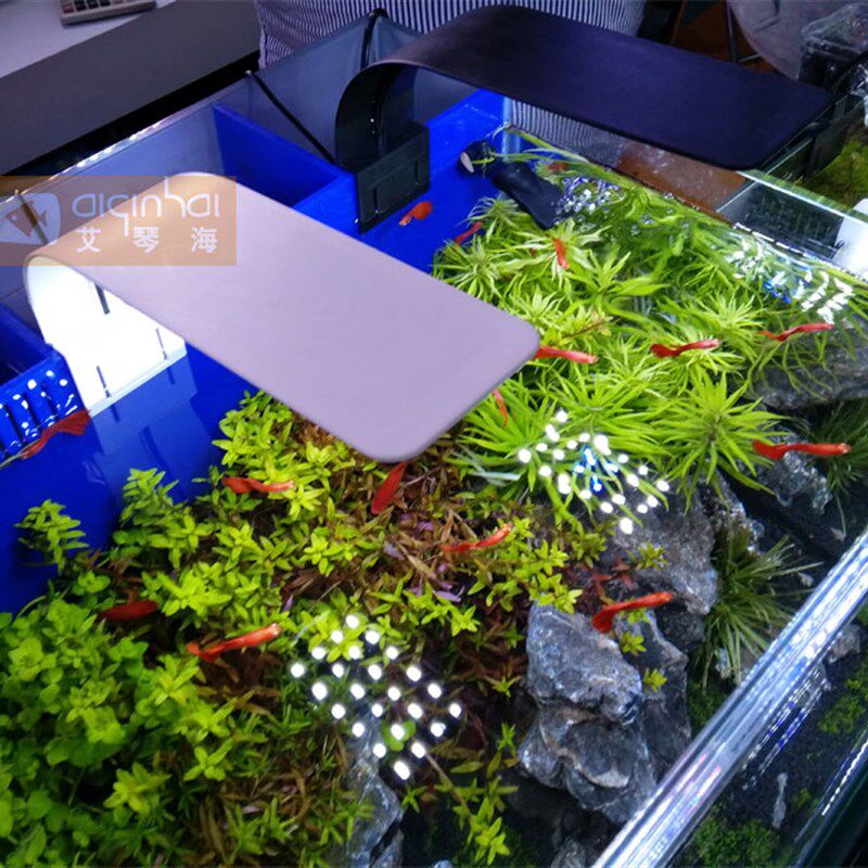 新款鱼缸灯架水族箱照明灯水族LED小夹灯水草灯迷你节能鱼缸夹灯