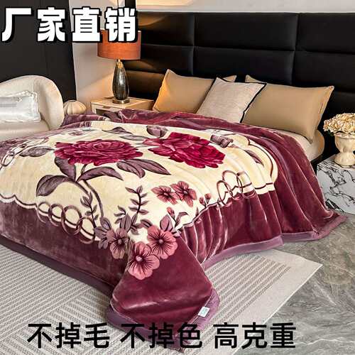 拉舍尔毛毯冬季加厚盖毯单人午睡毯子宿舍学生珊瑚绒法兰绒被床品