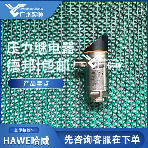 HAWE哈威DG 51E-A-250压力继电器原装进口现货