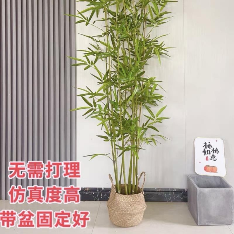 竹子室内装饰假竹子隔断屏风挡墙造景室外装饰竹盆栽加密绿植