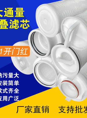 大通量折叠滤芯40寸派克颇尔滤芯