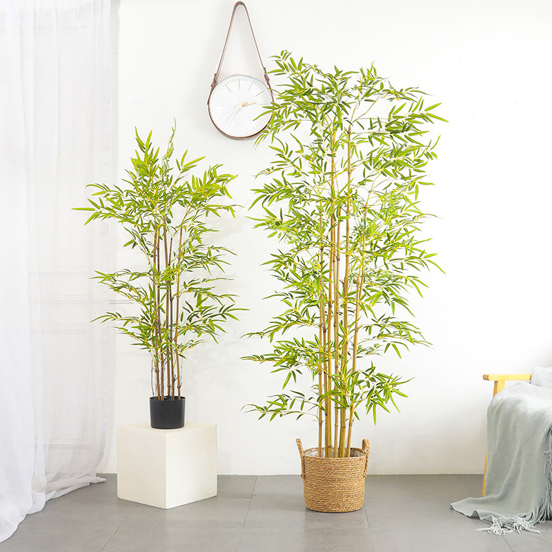 大型植物盆栽造景假竹子室内绿植迎宾墙面装饰酒店橱窗景观树