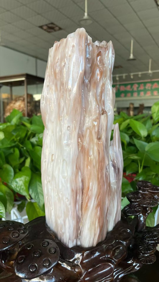 木化玉树化石奇石冰种树化玉原石桌面装饰木化石石大摆件