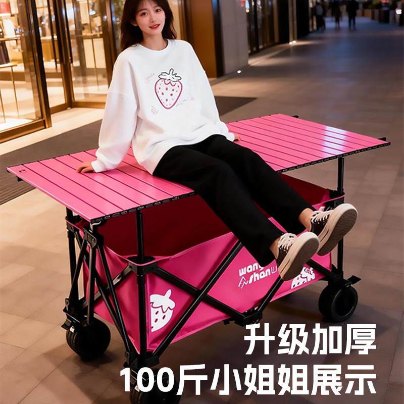 摊小推车商摆用关户车外网红夜市专用创业移动露ws20260营可折叠
